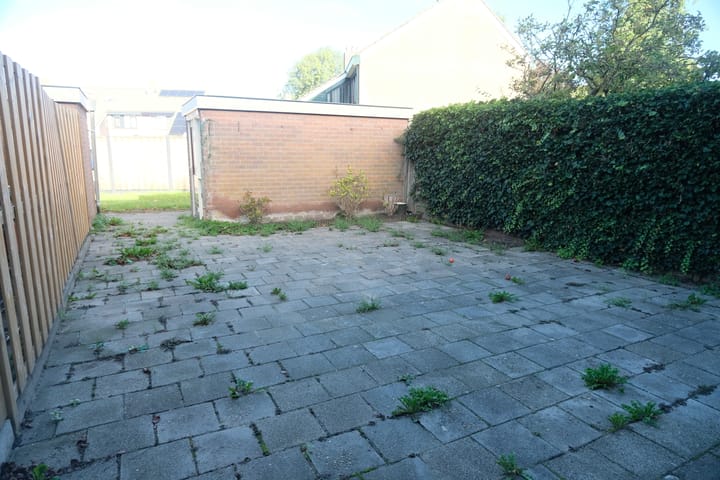 Foto 14 van Kamille 55