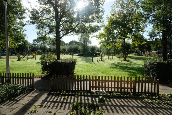 Foto 15 van Kamille 55