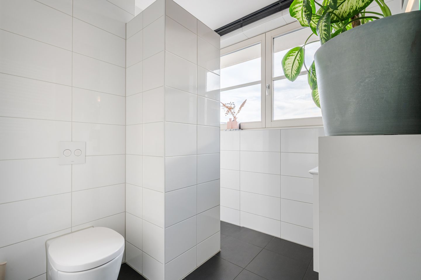 Foto 4 van Dotterbloem 14