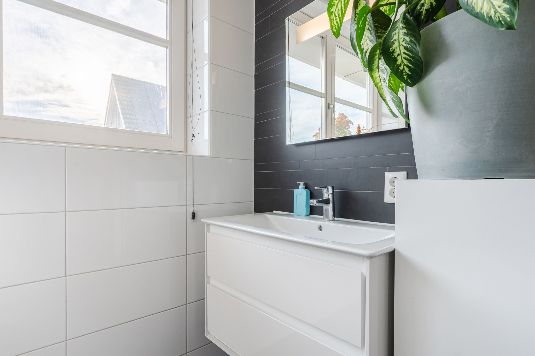 Foto 33 van Dotterbloem 14