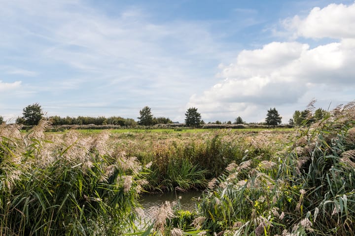 Photo 53 of Dotterbloem 14