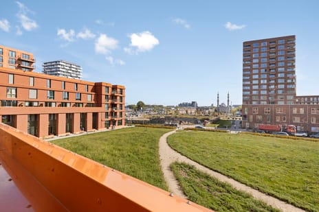 Hilledijk 144-B secondary image