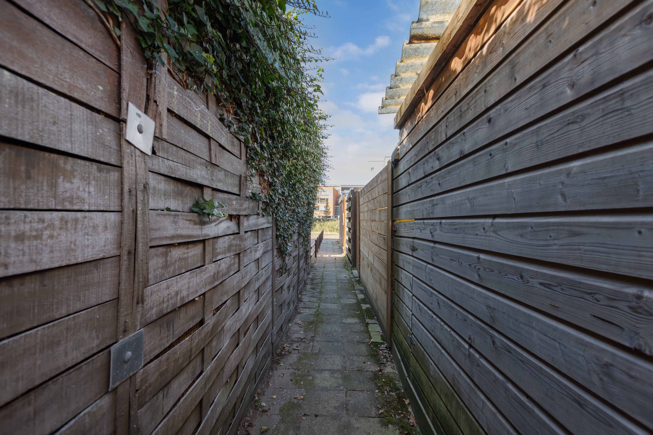 Foto 39 van Hesselstraat 7