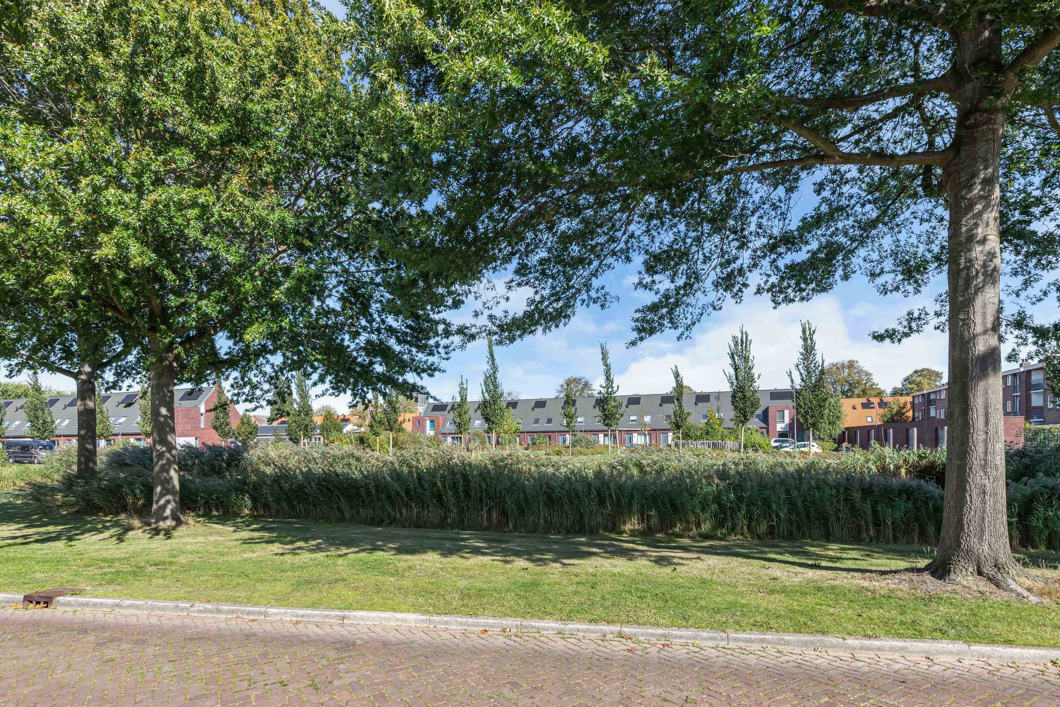 Foto 42 van Hesselstraat 7