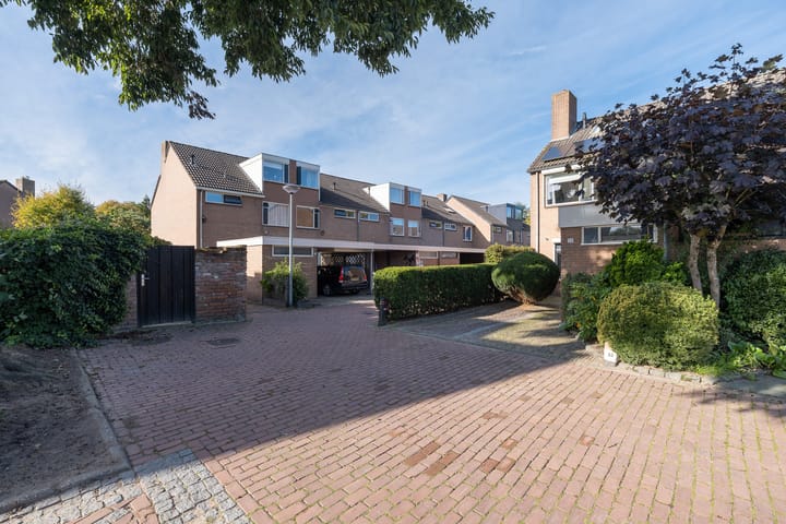 Photo 43 of Molecaten 52