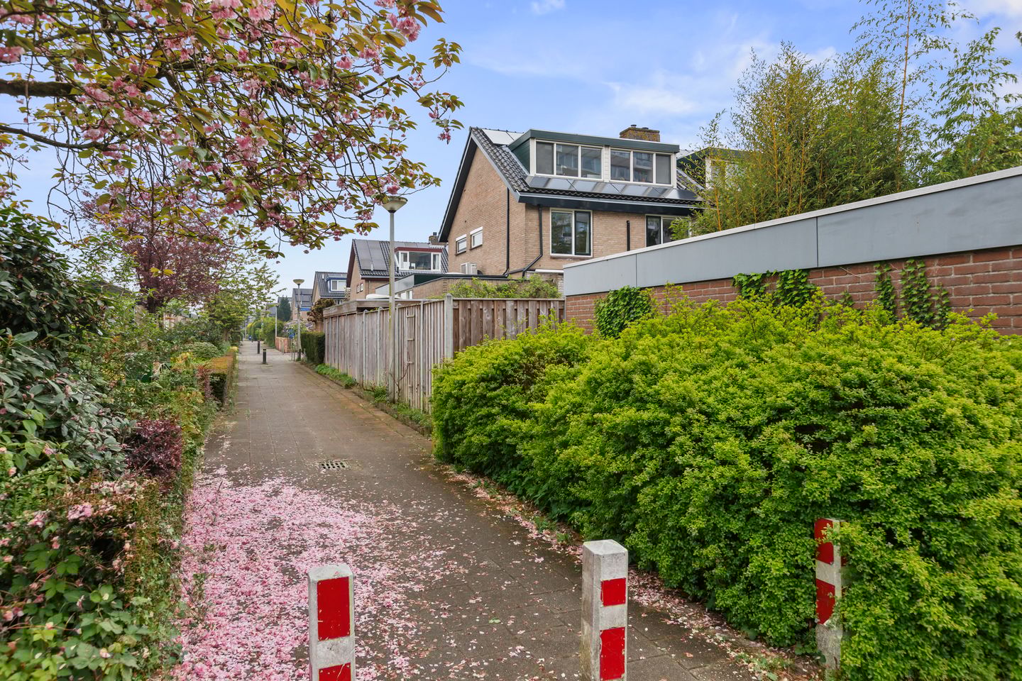 Foto 50 van Nabuccostraat 12