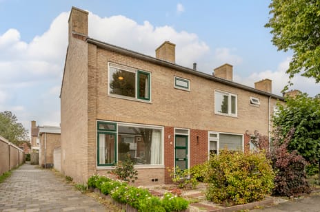 undefined main image