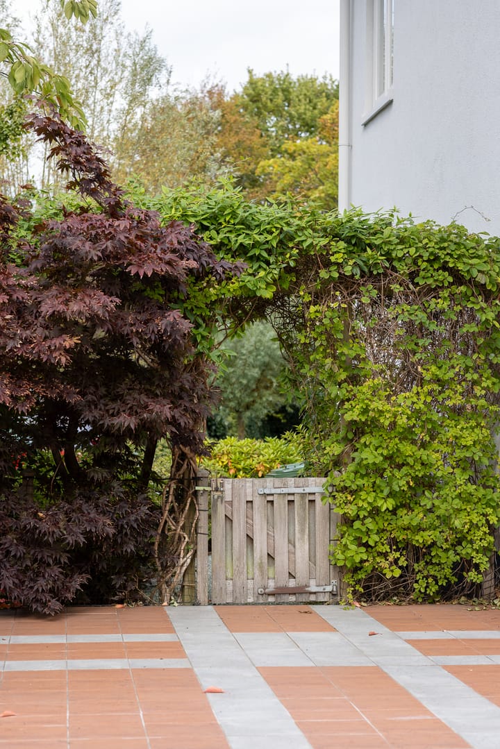 Foto 31 van 's-Gravenweg 551