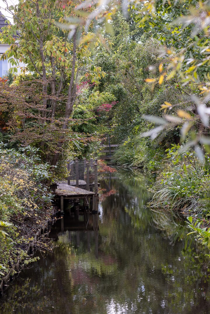 Foto 36 van 's-Gravenweg 551