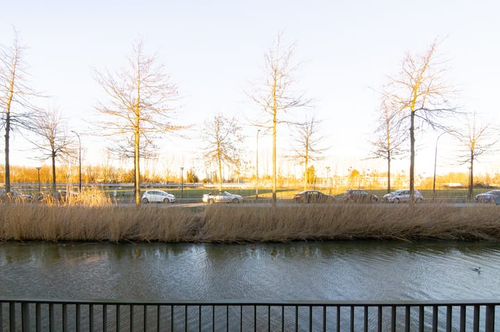 Foto 7 van Flatusstraat 17