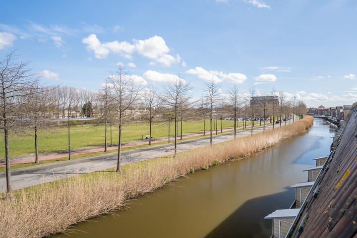 Foto 35 van Flatusstraat 17