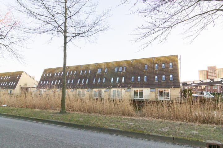 Foto 36 van Flatusstraat 17