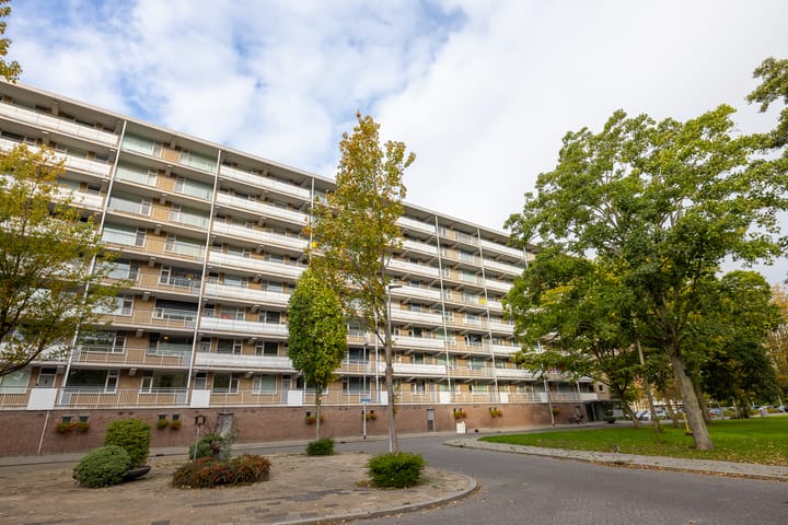 Photo 5 of Kelloggplaats 278