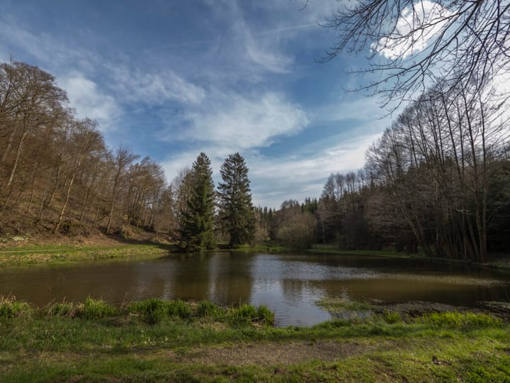 Foto 6 van Burgstraße 164, 06493