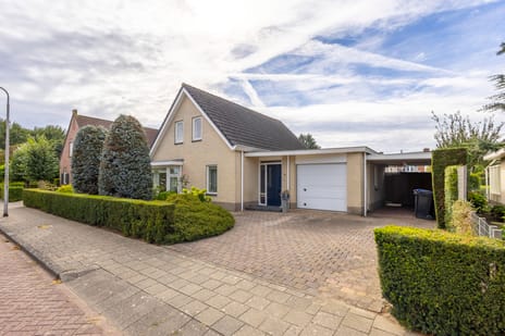 undefined main image