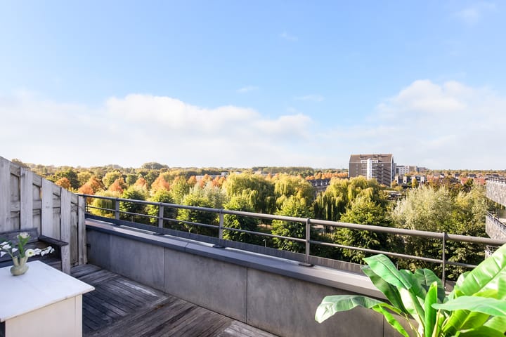 Photo 5 of Rottumeroog 276