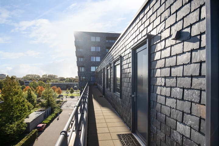 Foto 6 van Rottumeroog 276