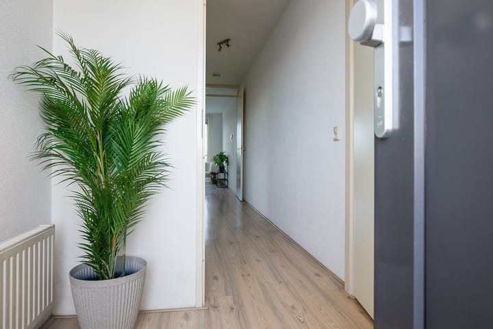 Foto 8 van Rottumeroog 276