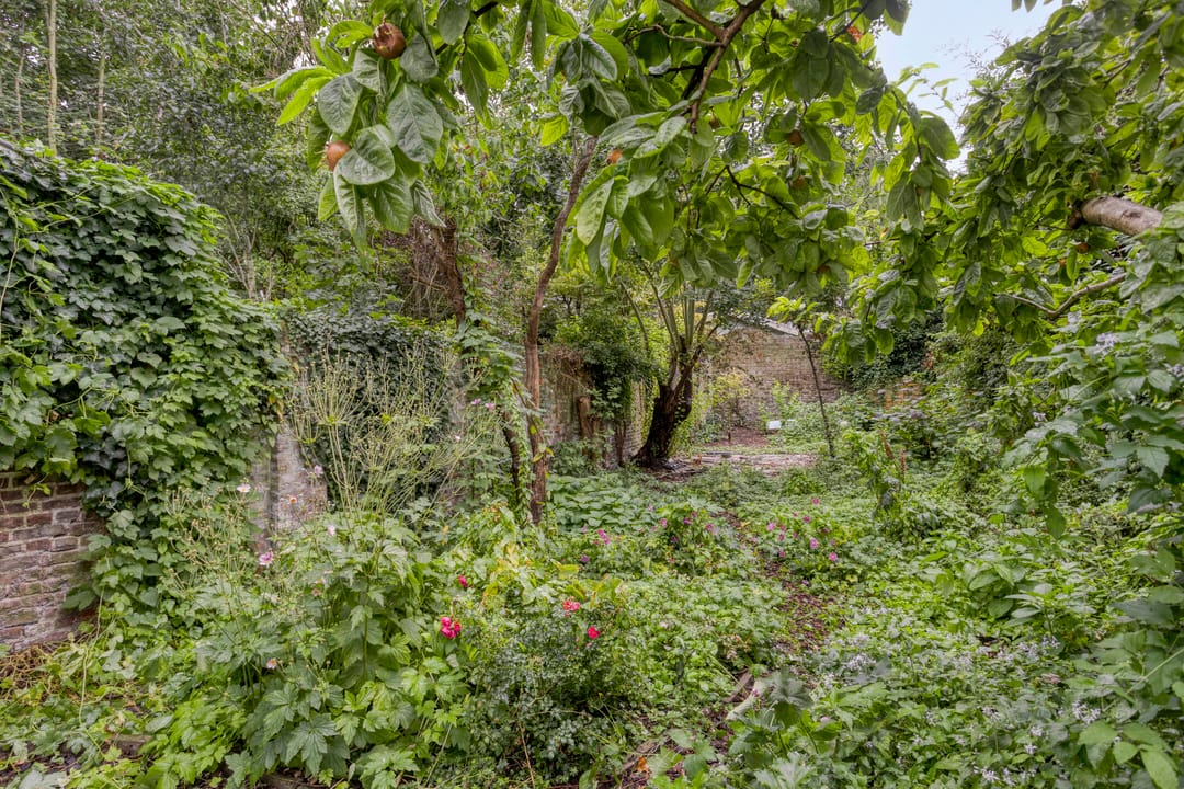 Photo 23 of Hertogsingel 10