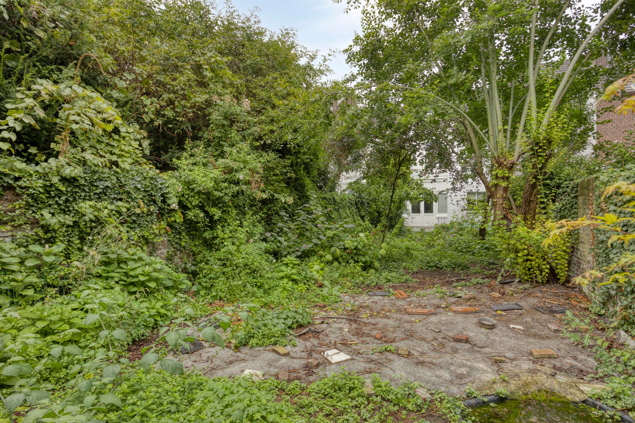 Photo 24 of Hertogsingel 10