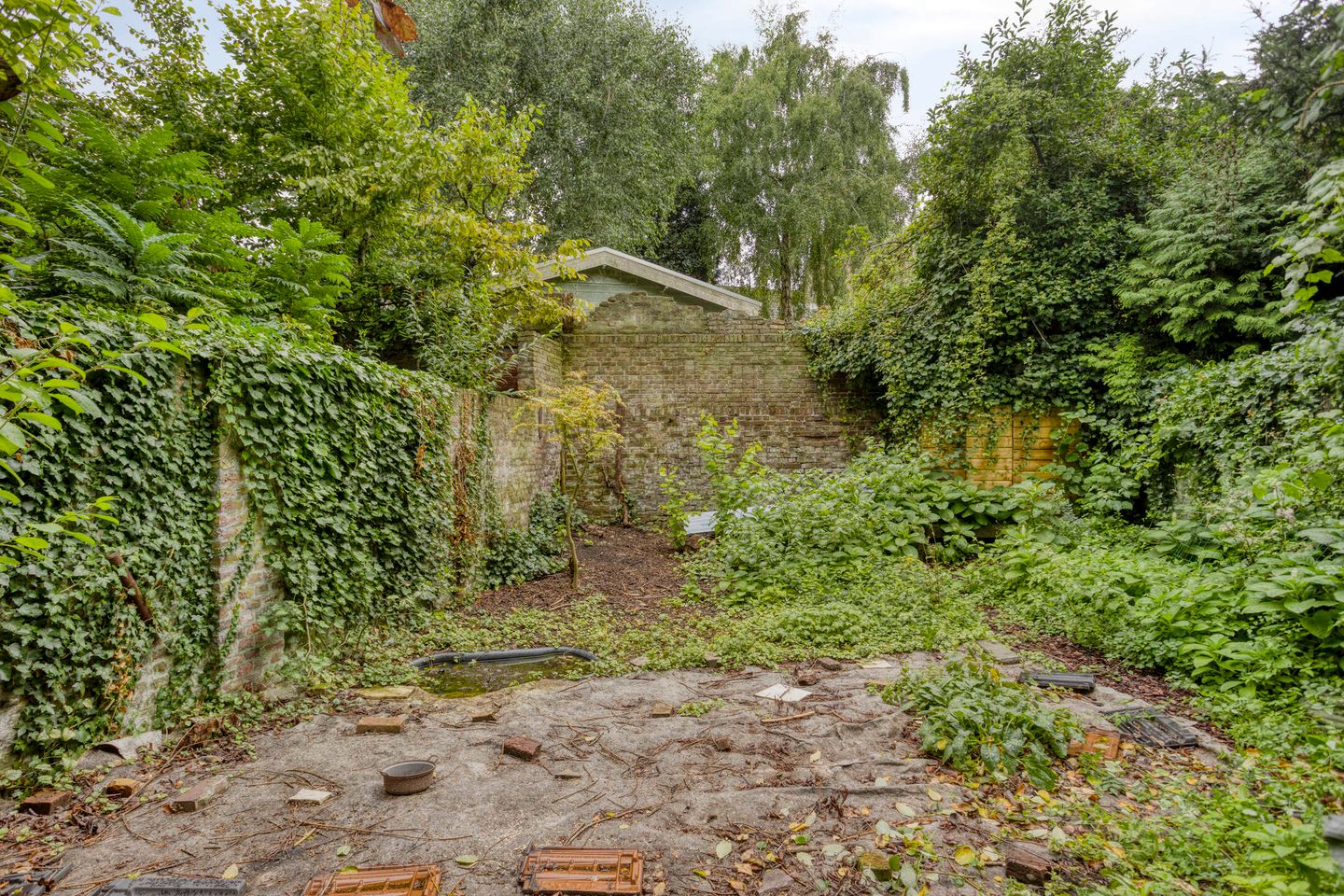 Photo 25 of Hertogsingel 10