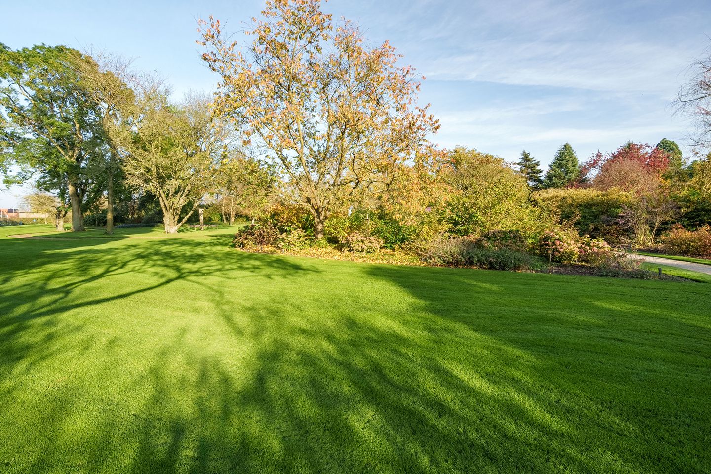 Foto 35 van Arboretumlaan 6-305