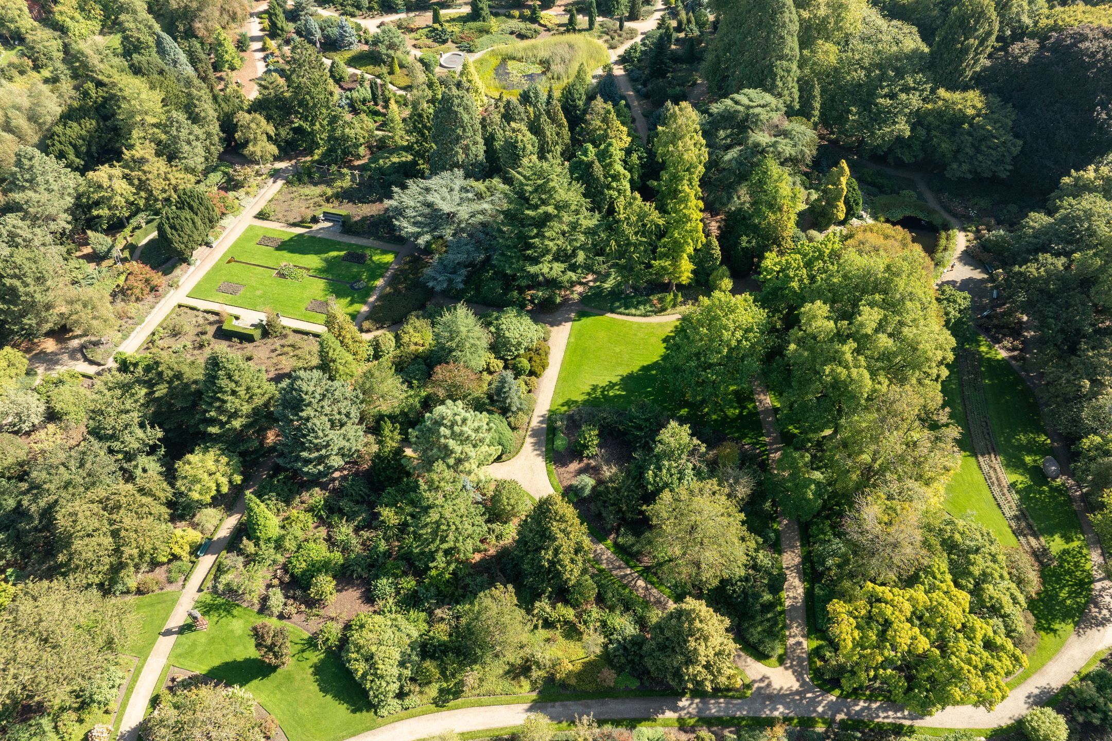 Foto 39 van Arboretumlaan 6-305