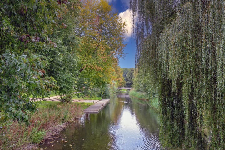 Photo 47 of Rozenwerf 26