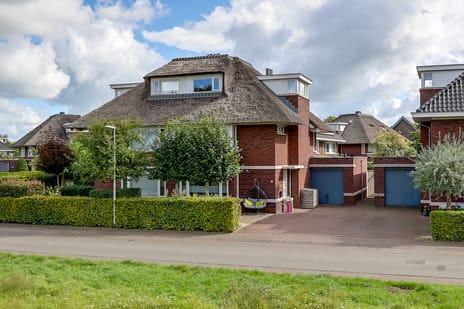 Doornweerd thumbnail