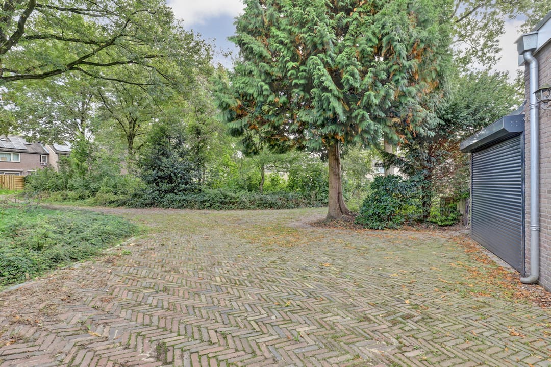 Foto 8 van Hermelijnkwartier 68