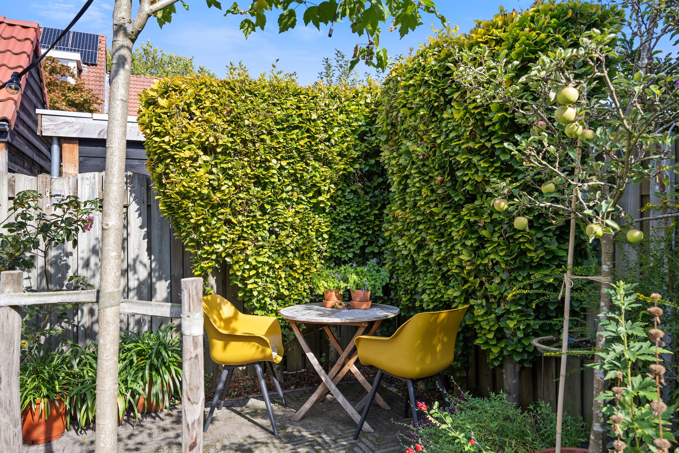 Foto 36 van Schrijverstraat 3