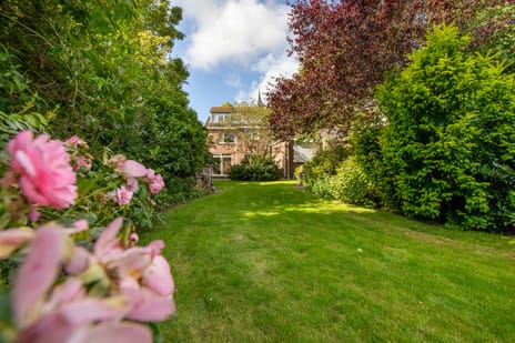 undefined main image