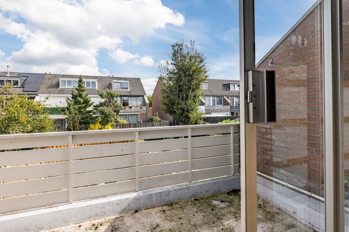 Photo 17 of Houtsnipwal 108