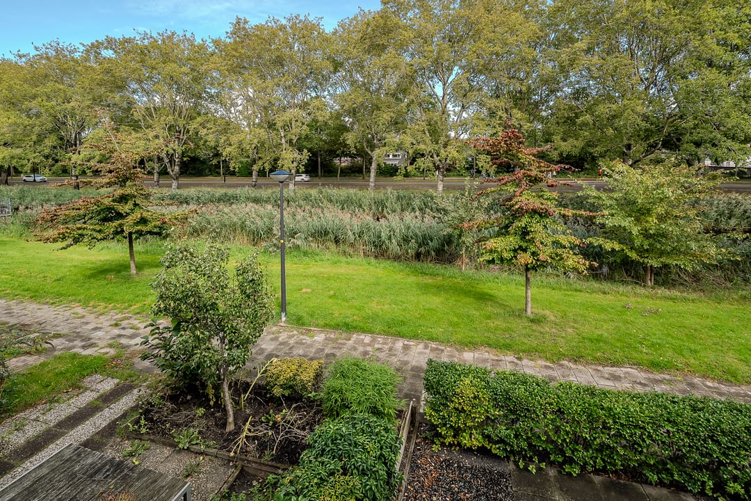 Foto 47 van Iepenlaan 10