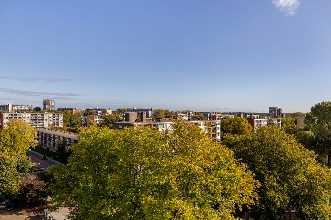 Foto 7 van Griegplein 195