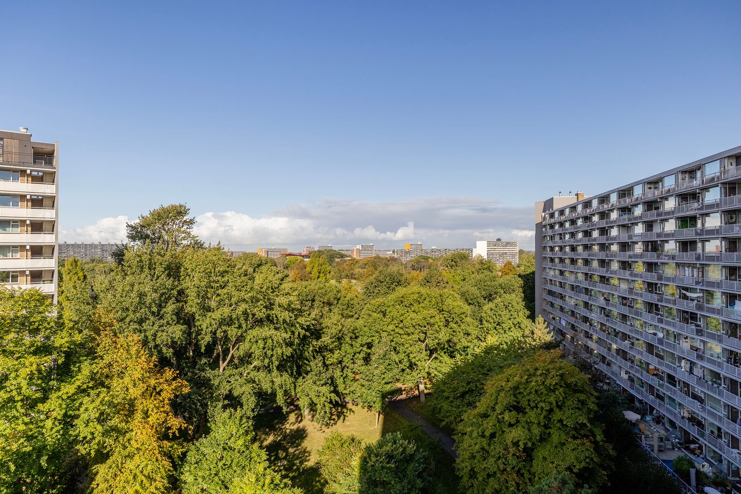 Foto 19 van Griegplein 195