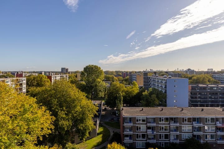 Foto 40 van Griegplein 195