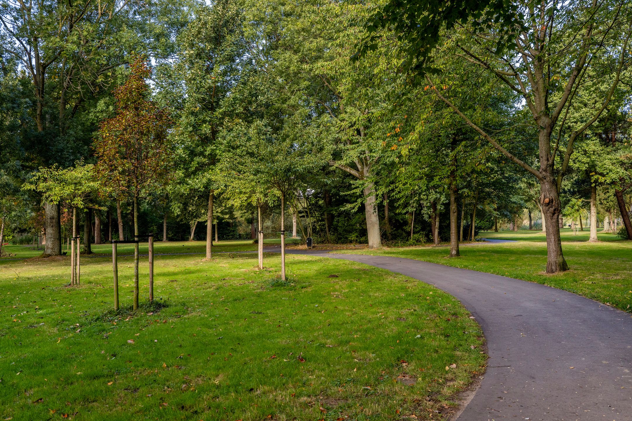 Foto 42 van Griegplein 195