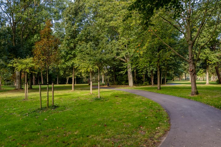 Foto 42 van Griegplein 195