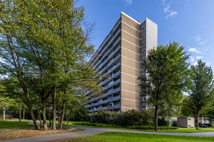 Foto 43 van Griegplein 195