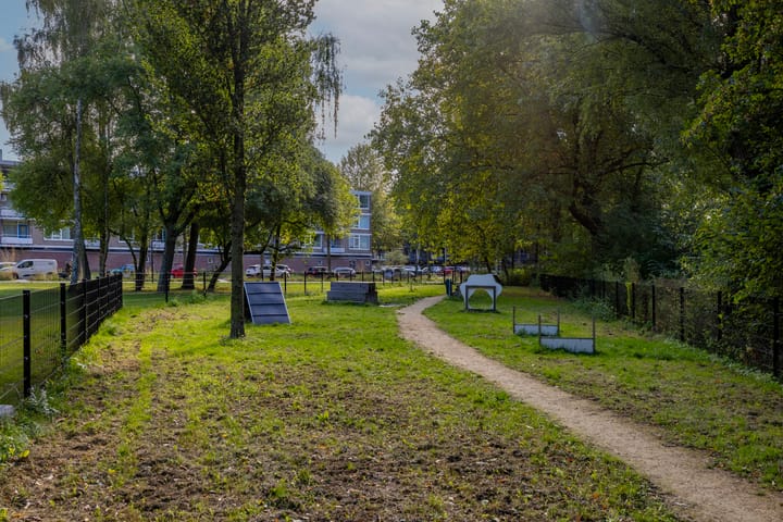 Foto 44 van Griegplein 195