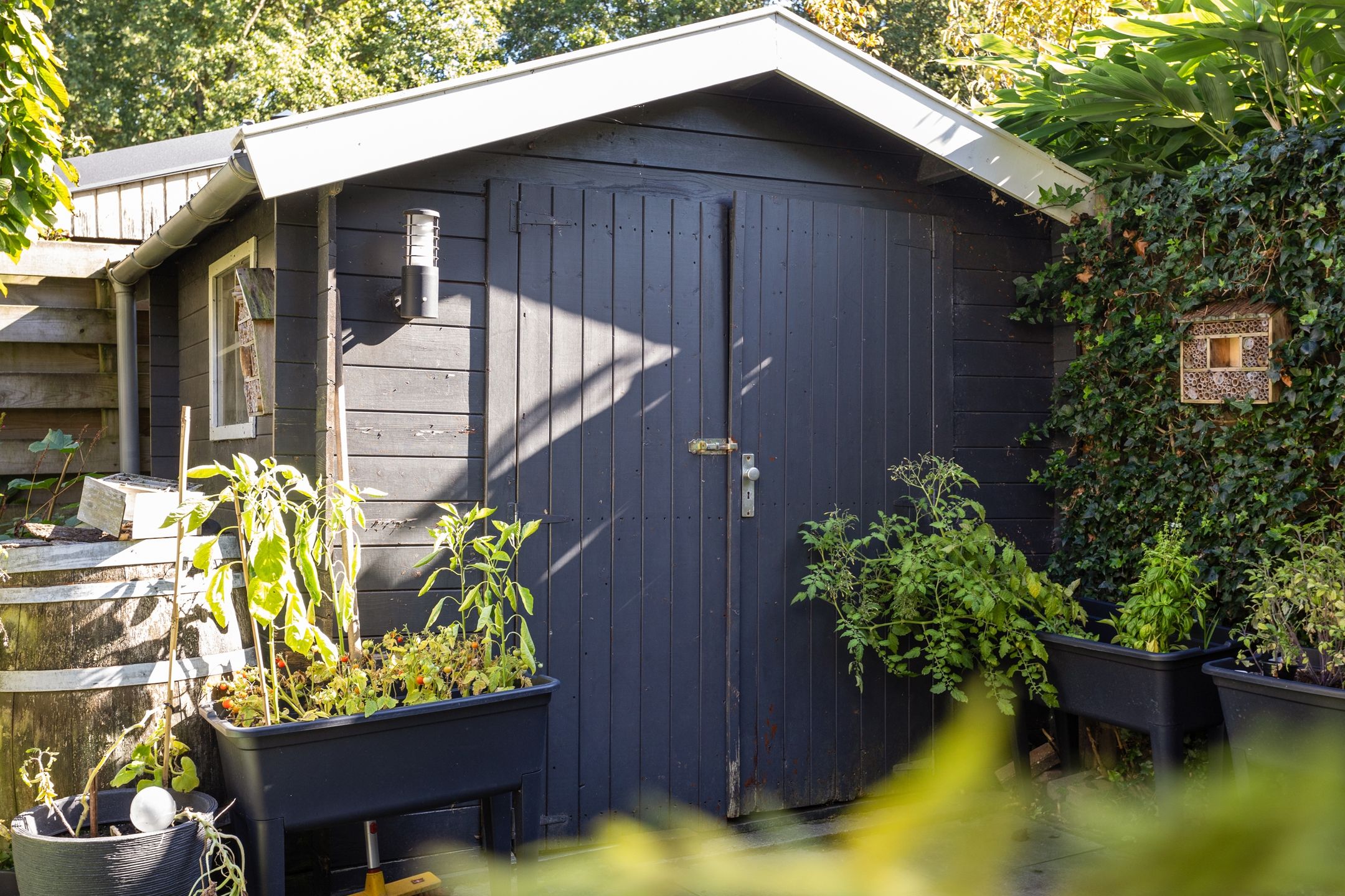 Foto 36 van Ruinerbrink 228