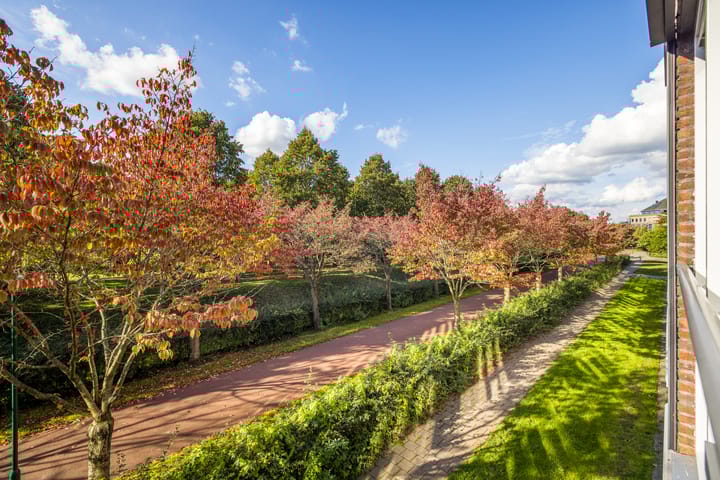 Foto 10 van Zonnehout 17