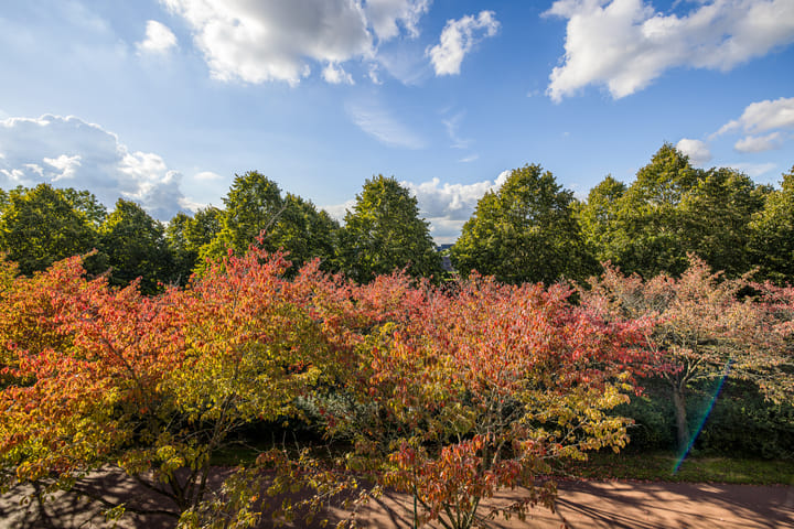 Foto 28 van Zonnehout 17