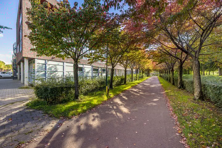 Foto 38 van Zonnehout 17