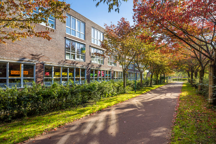 Foto 39 van Zonnehout 17