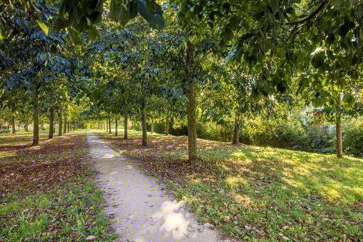 Foto 41 van Zonnehout 17