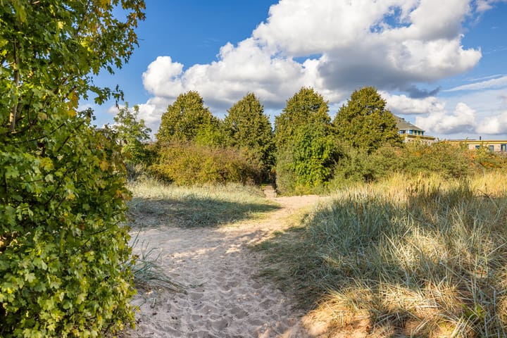 Foto 42 van Zonnehout 17