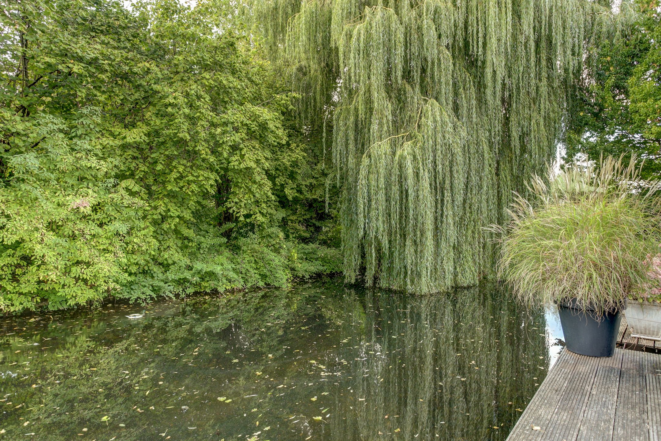 Foto 21 van Eksterstraat 119