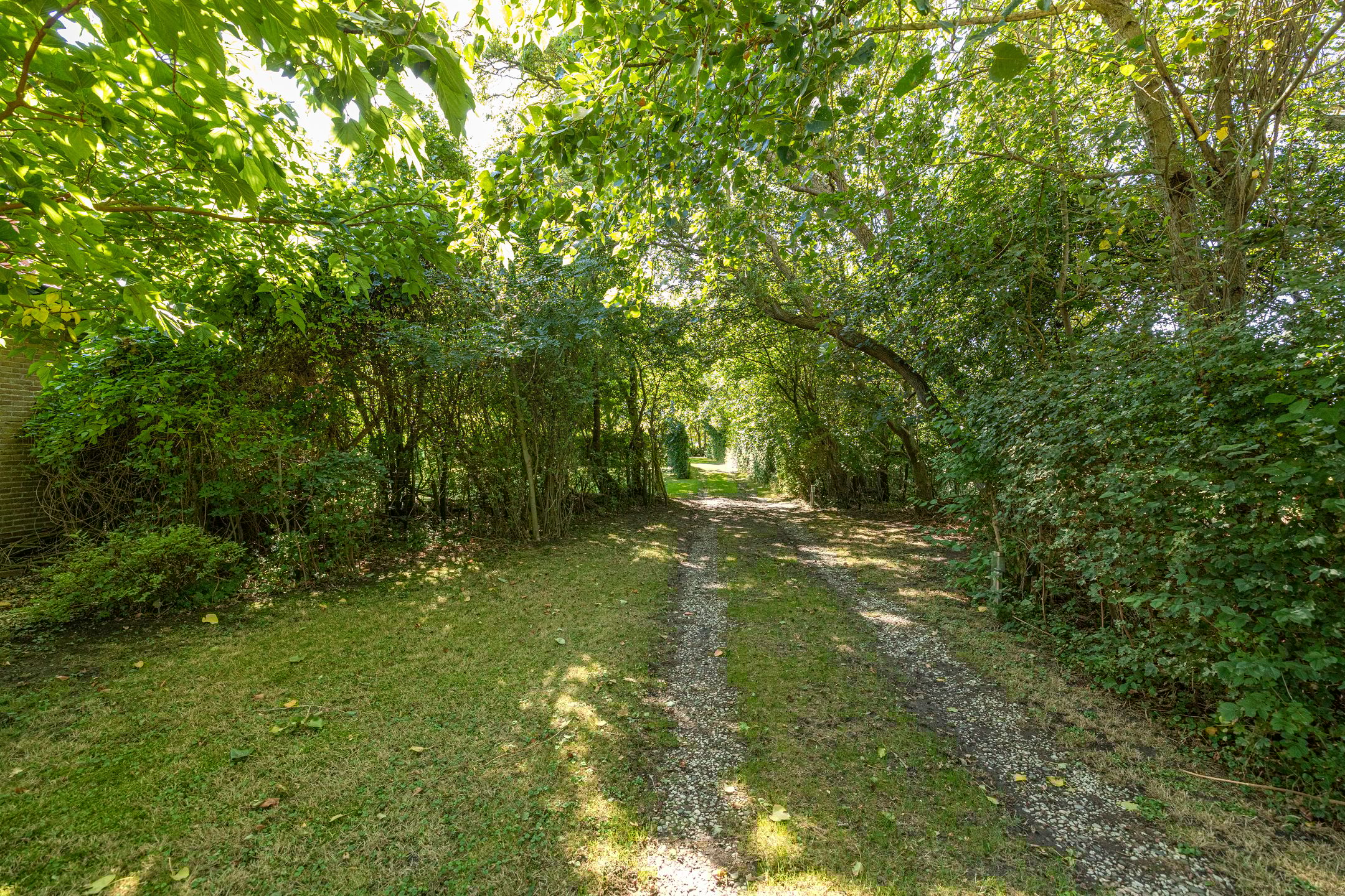 Foto 87 van Wierumerwei 12